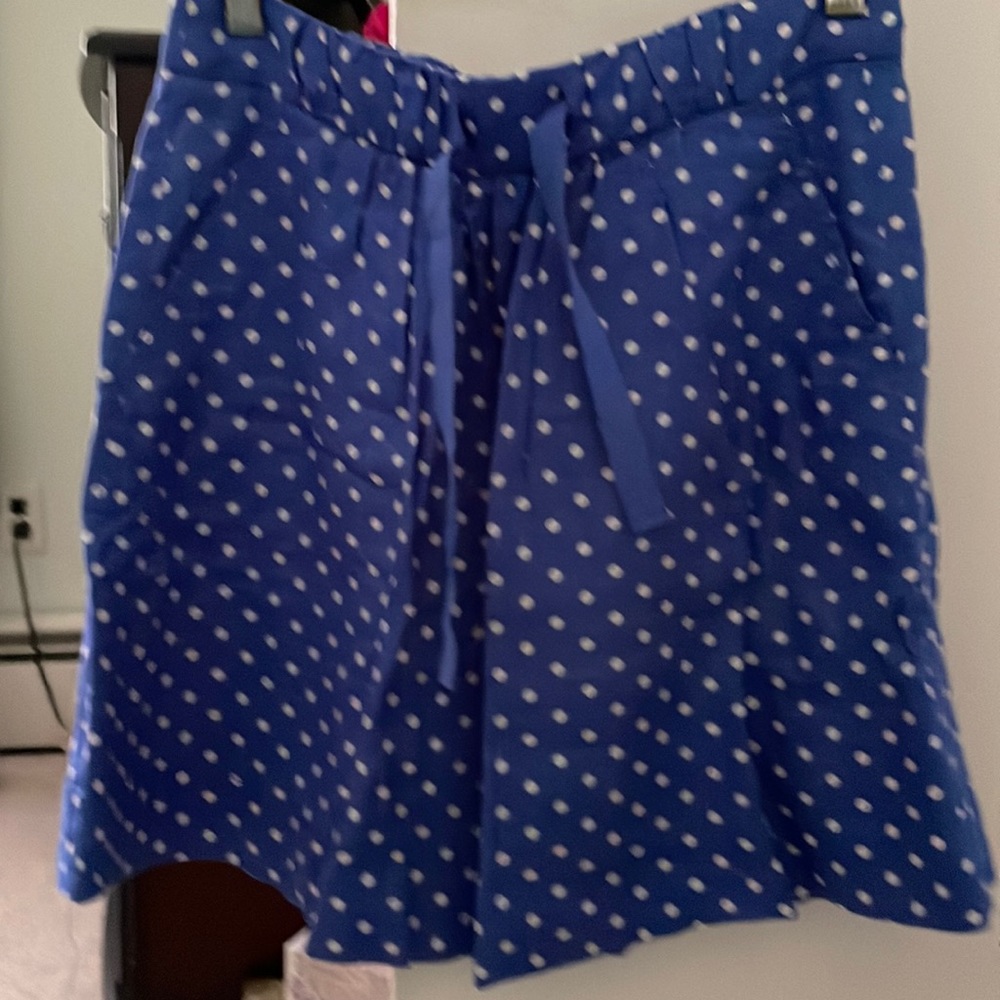 J crew skirt . Hardly worn
